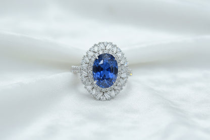 St. Paul's Radiance | Luxurious Palace Style Ring Setting