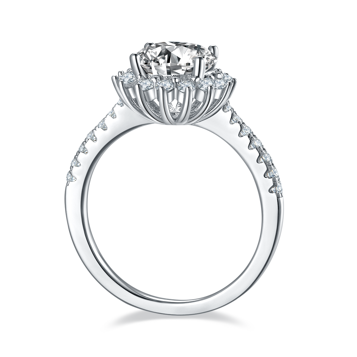 The Morning Bloom | Halo Setting