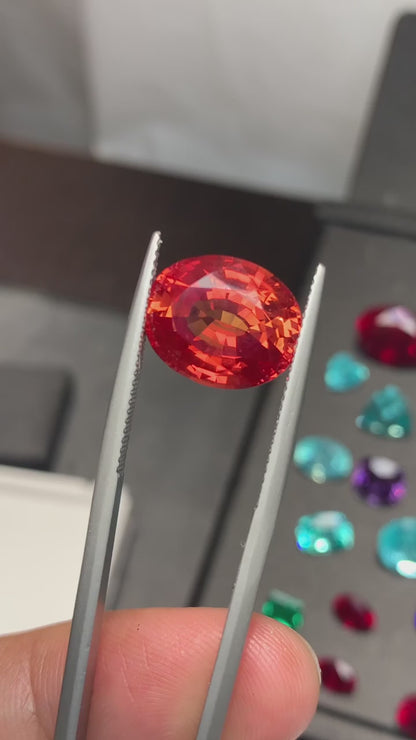 Lab Padparadscha (3 carats and up)